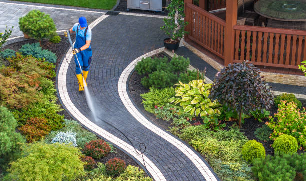 Best Power Washing Near Me  in Corona De Tucson, AZ